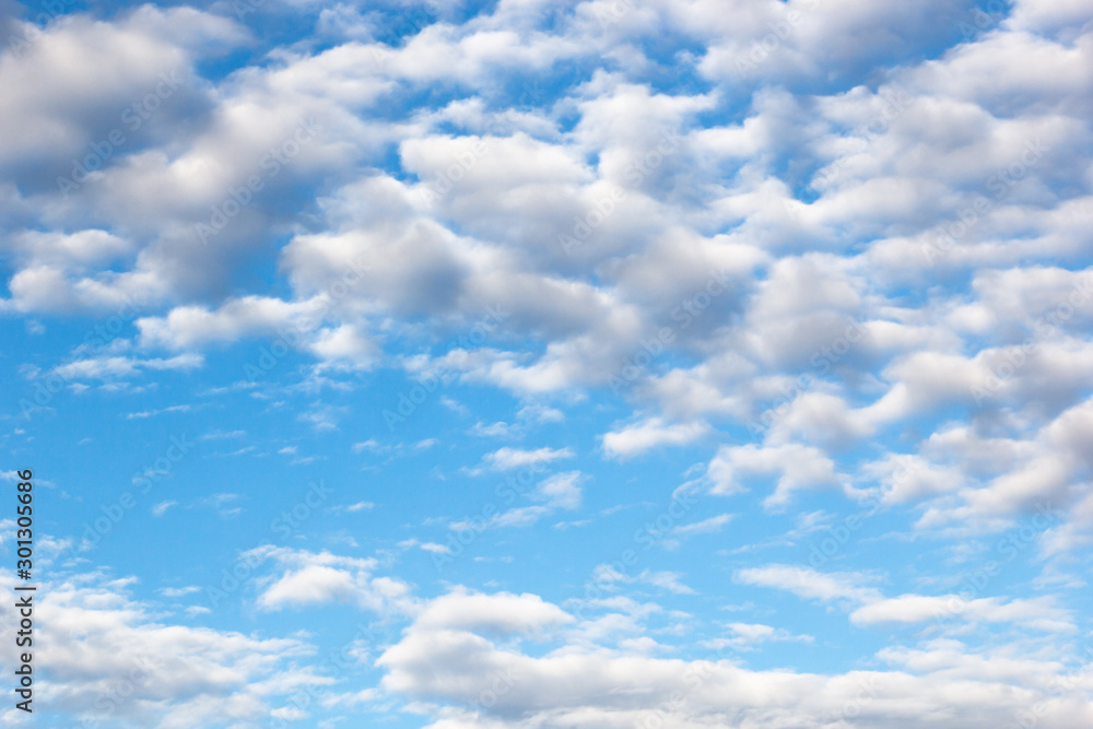 clouds of an average tier high cumulus, on a blue background of the sky clouds of an average tier high cumulus, on a blue background of the sky