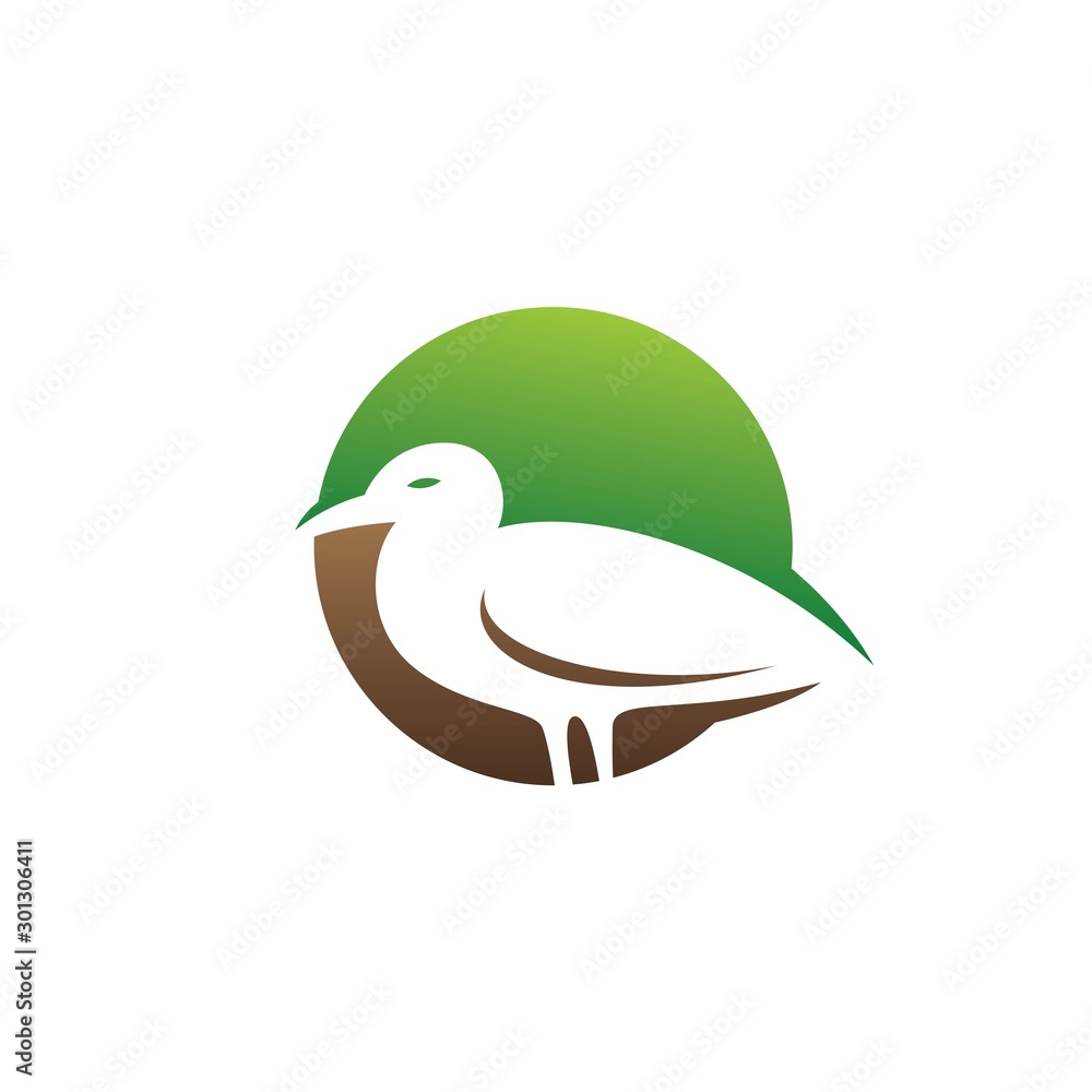 Obraz premium seagull logo