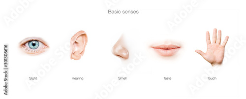five senses concept photo