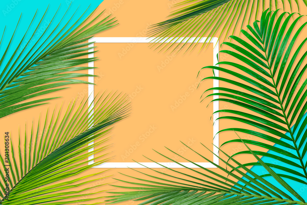 Green palm leaves pattern for nature concept,tropical leaf on orange and teal paper background