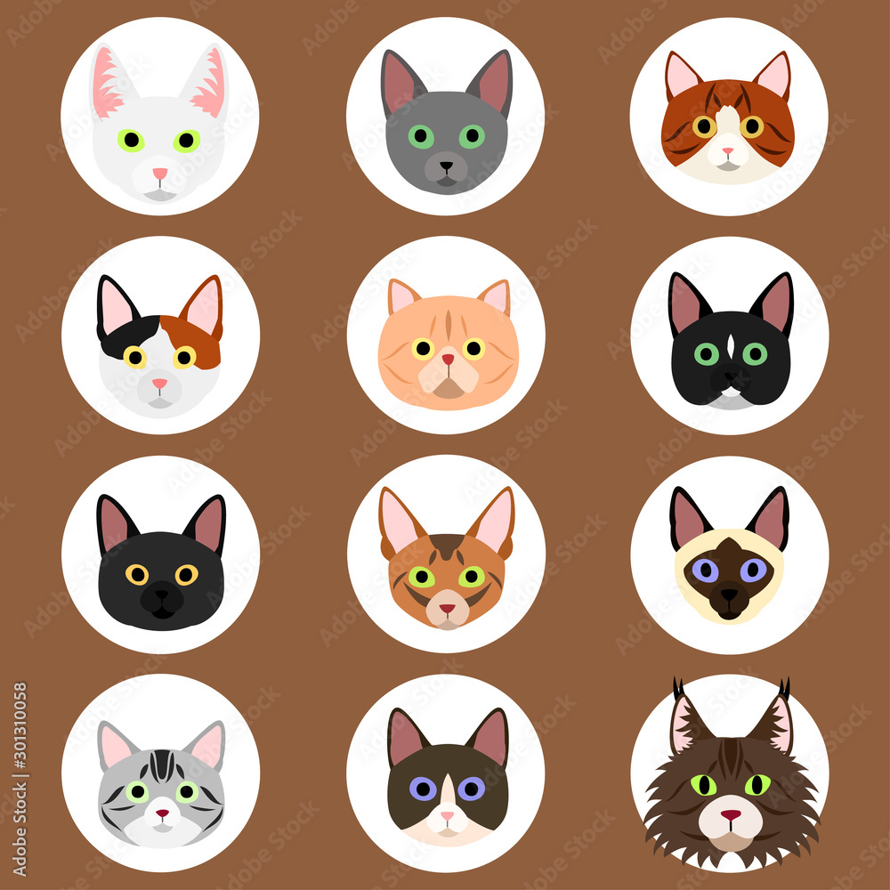 set of cats face