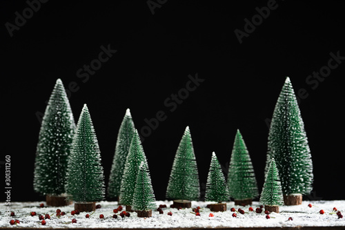 Christmas - Pine tree On the snow Black background