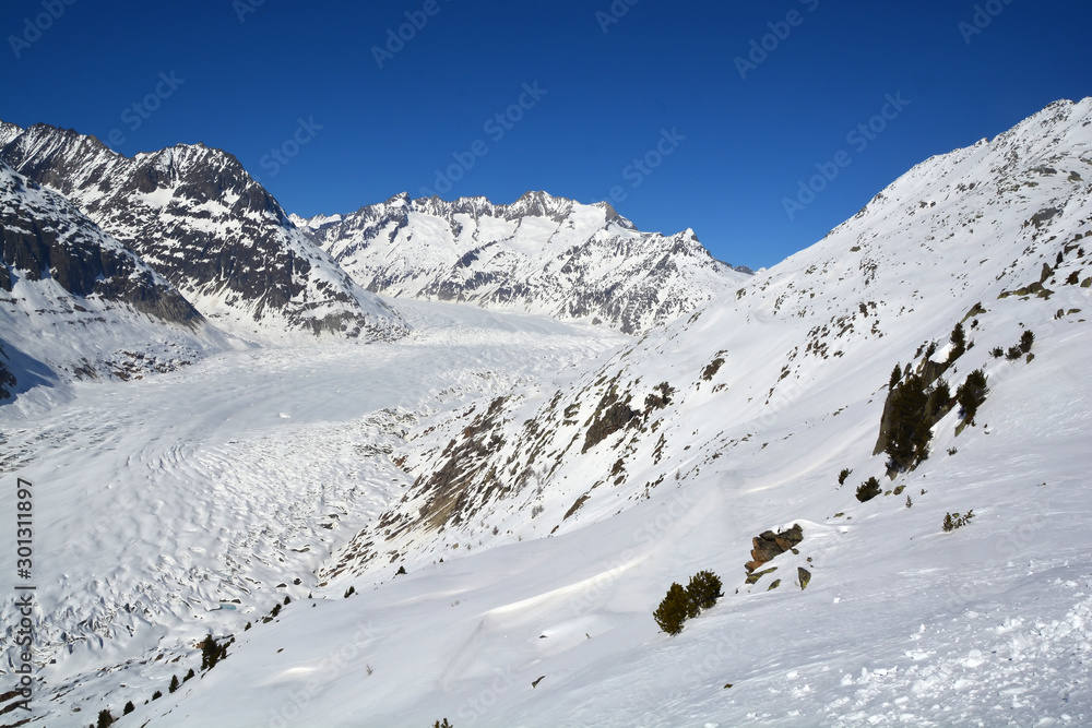 Aletsch Glacier and Wannenhorn