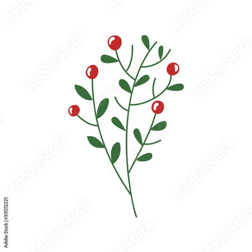 branches with leafs and seeds isolated icon vector illustration design