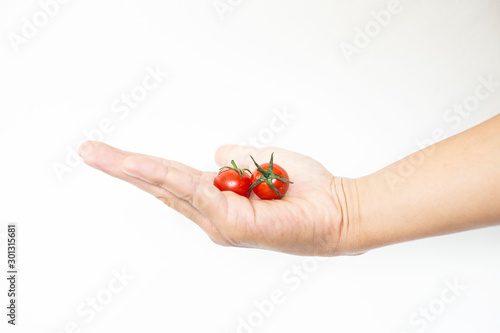 Hand holding fresh mini tomato isolated on white background.