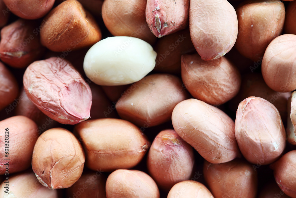 close up of peanut background close up of peanut background