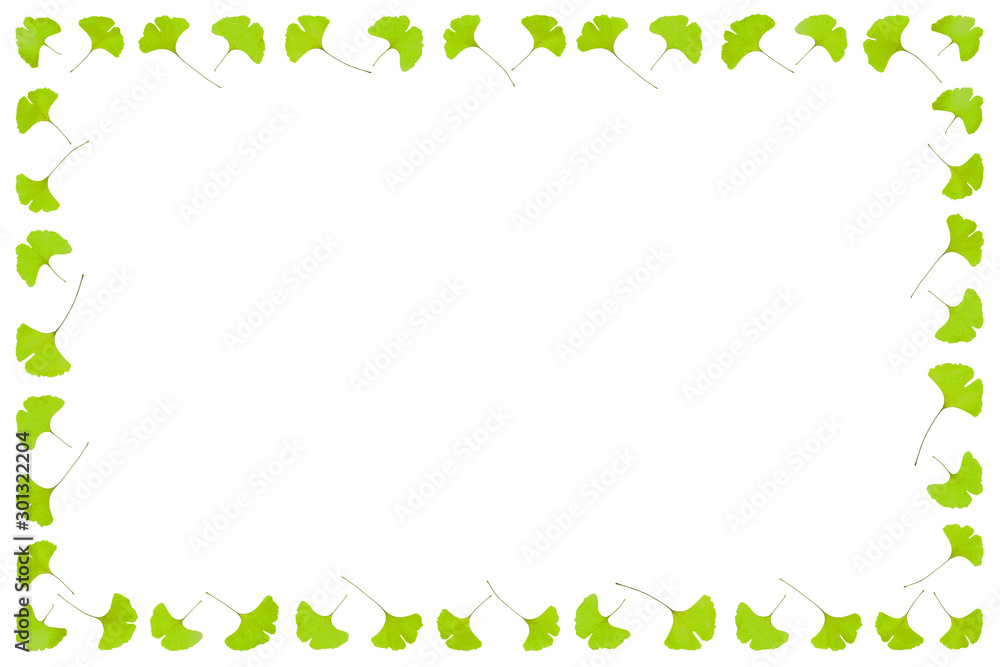 Gingko leaf frame isolated and flat layed on a white background. Gingko leaf frame isolated and flat layed on a white background.