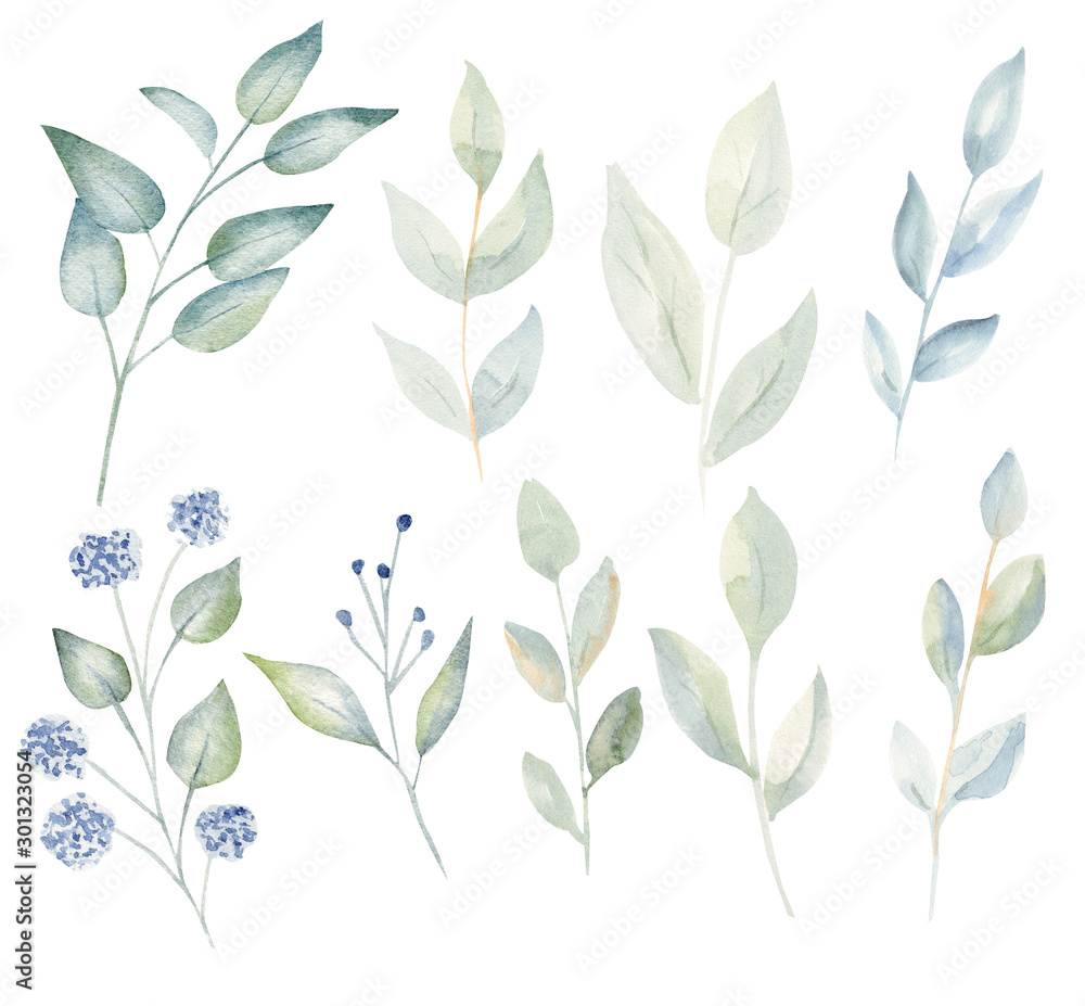 Branches with leaves and blossoms watercolor raster illustration set