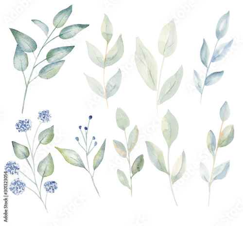Branches with leaves and blossoms watercolor raster illustration set
