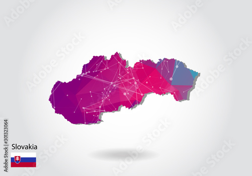 Fotografie, Obraz Vector polygonal Slovakia map