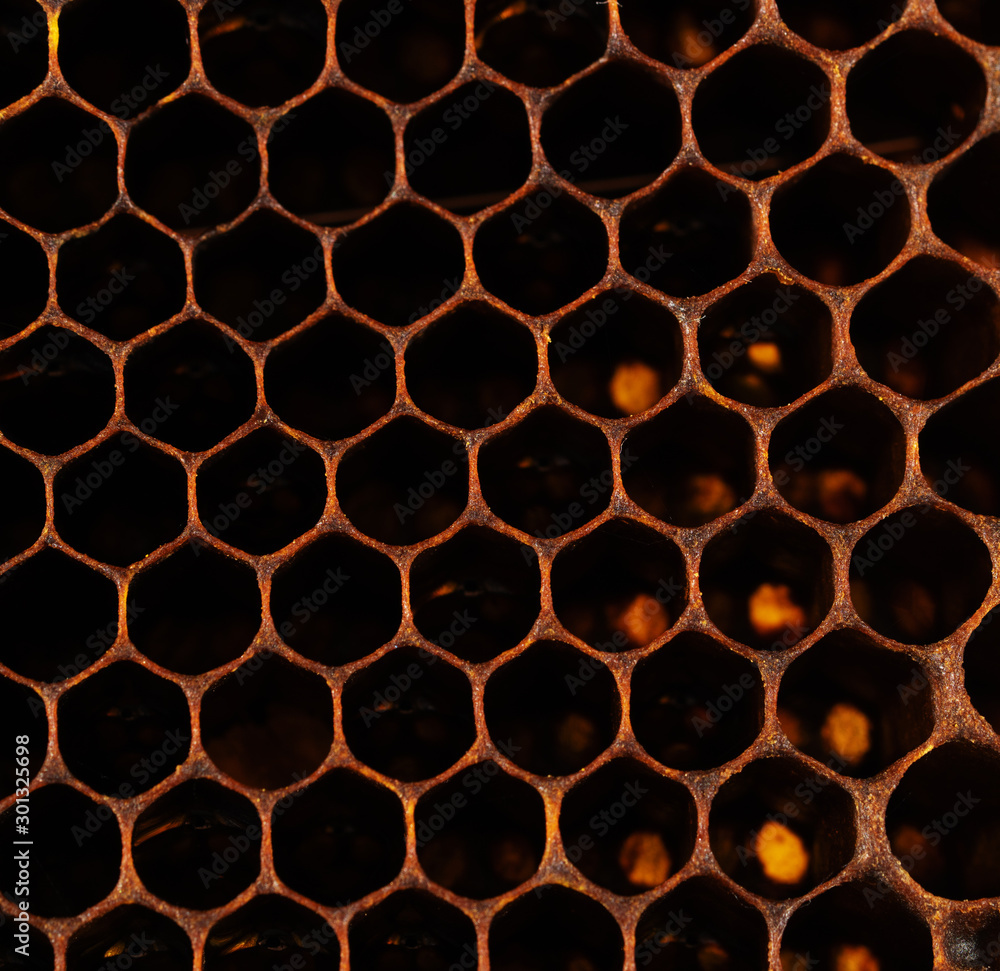 Honeycomb with honey and pollen. Sweet and natural honey inside the honeycomb. Background of honeycombs Honeycomb with honey and pollen. Sweet and natural honey inside the honeycomb. Background of honeycombs