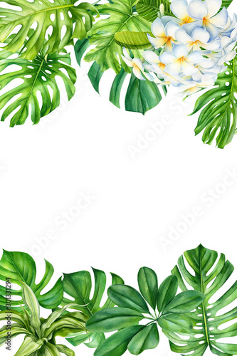 tropical leaves and flowers on an isolated background  greeting cards with space for text  watercolor painting  botanical illustration  floral design  plumeria  palms  monstera