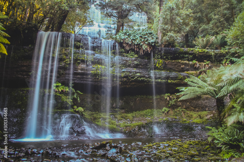 Fototapeta Naklejka Na Ścianę i Meble -  Russel Falls, Tasmania.