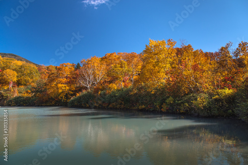 autumn landscape with lake and trees