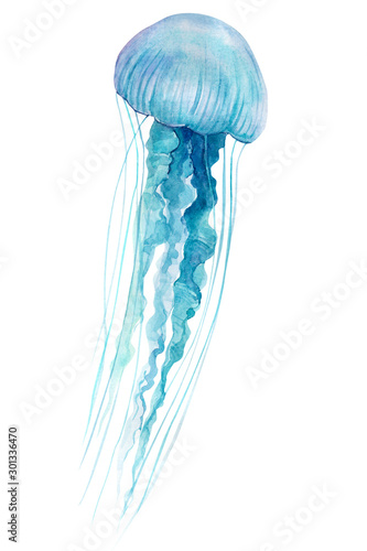 Fotografie, Tablou blue jellyfish on an isolated white background, watercolor illustration, hand dr