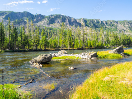 Madison River in Yellowstone National Park photo