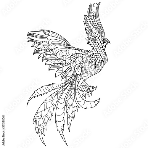 Hand drawn doodle illustration of flying Phoenix Bird.