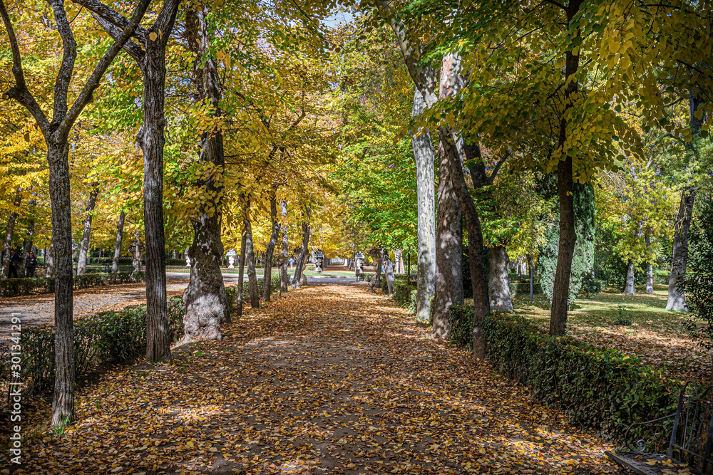 Autumn landscape in the city of Aranjuez. Madrid Spain