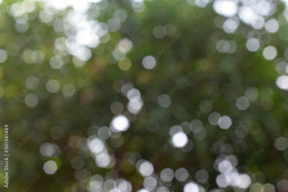 Naklejka premium green nature bokeh background with sunshine rays drop in circle 