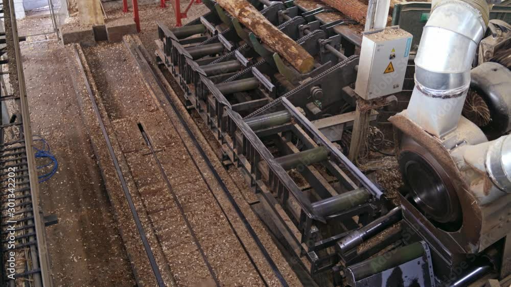 Assembly line in production. Production and processing of wooden boards at industrial factory Assembly line in production. Production and processing of wooden boards at industrial factory