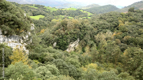 View of the Nansa river path in Cantabria