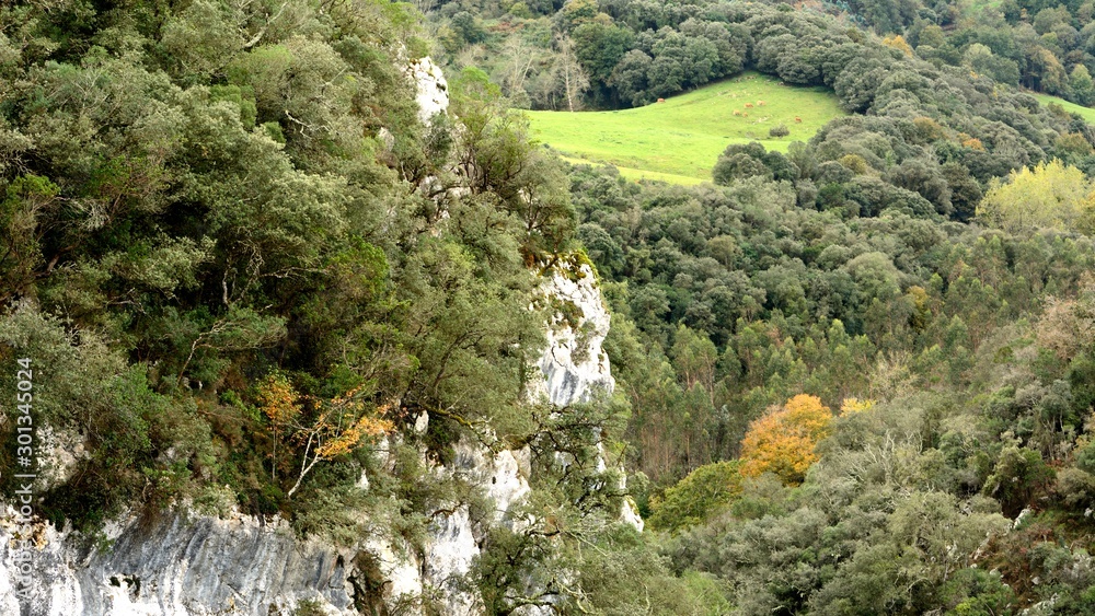 View of the Nansa river path in Cantabria View of the Nansa river path in Cantabria