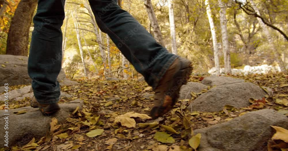 Hiking in forest