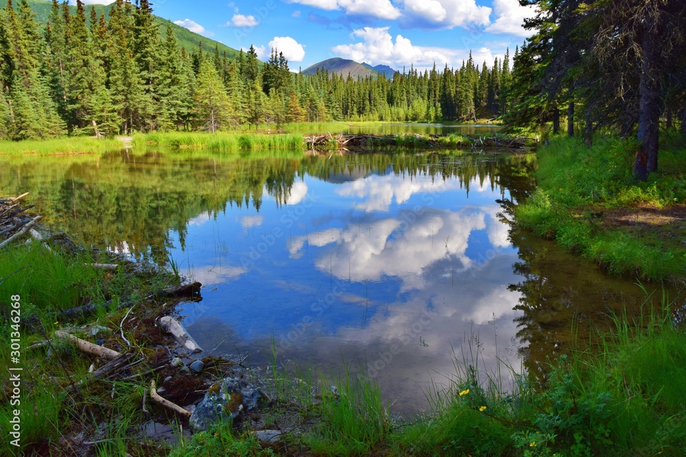 Horseshoe lake trail denali online