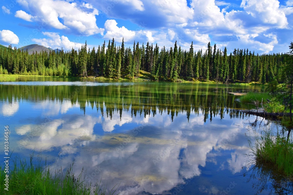 Fototapeta premium Horseshoe Lake Trail - Denali National Park , Alaska