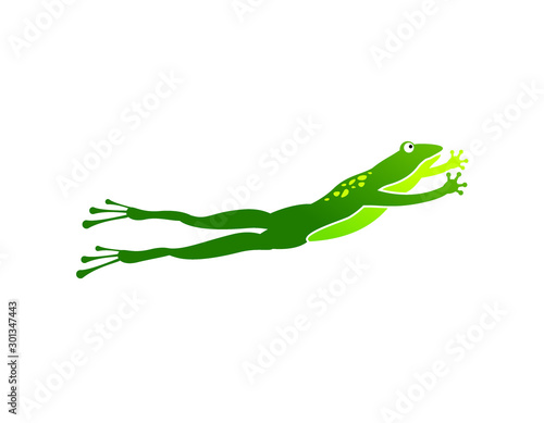 frog toad leap or jump 