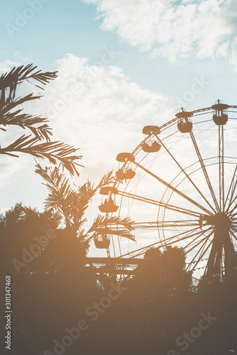 Silhouette of ferris wheels and palm trees.