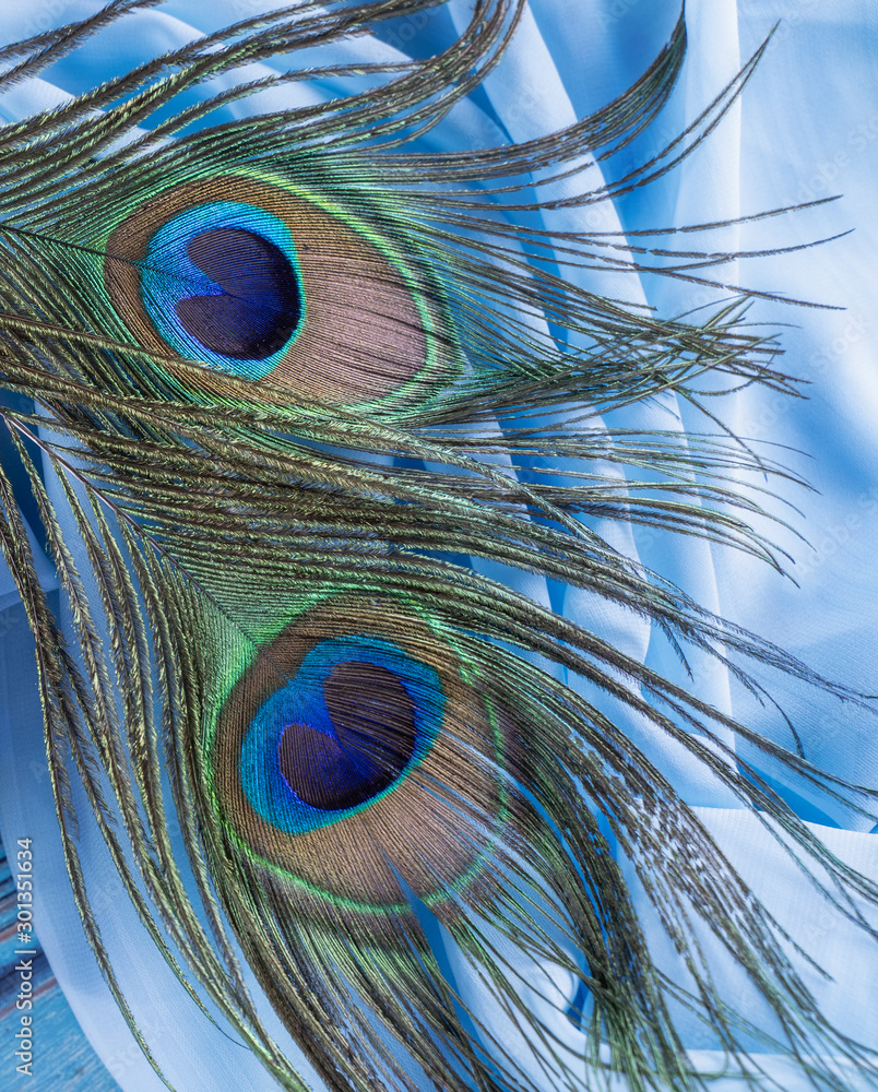 Naklejka premium Close-up of a peacock's tail feathers isolated on in a blue fancy fabric background - Image
