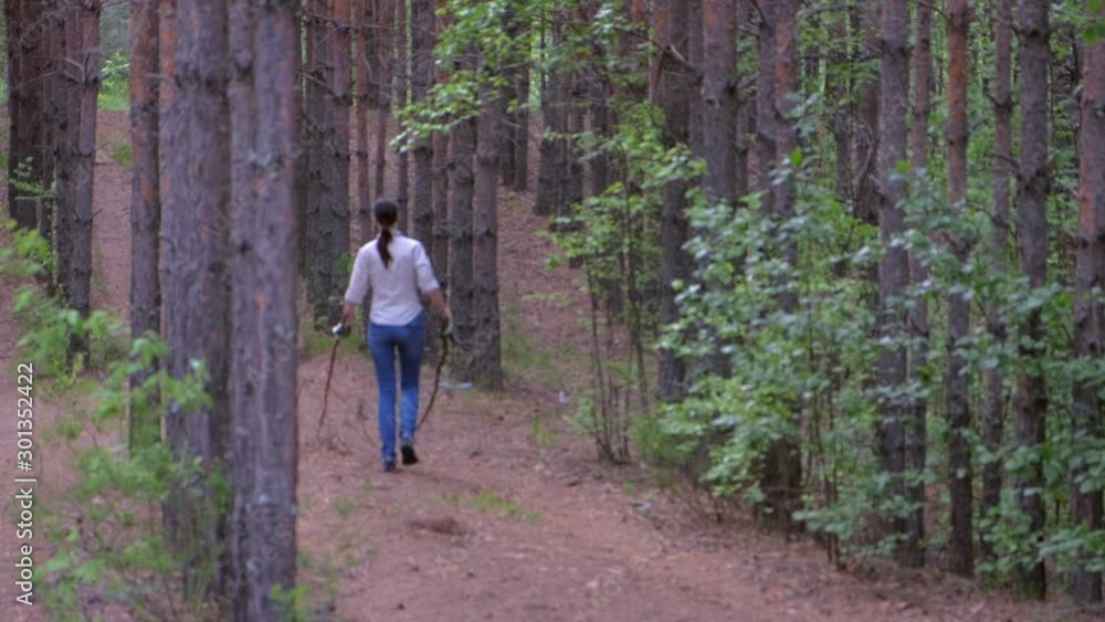 Young woman brunette carries felled trees to a forest scout's camp for firewood, back view. Household work on vacation or weekend in the woods in scout camping. Outdoors activities on nature concept. Young woman brunette carries felled trees to a forest scout's camp for firewood, back view. Household work on vacation or weekend in the woods in scout camping. Outdoors activities on nature concept.