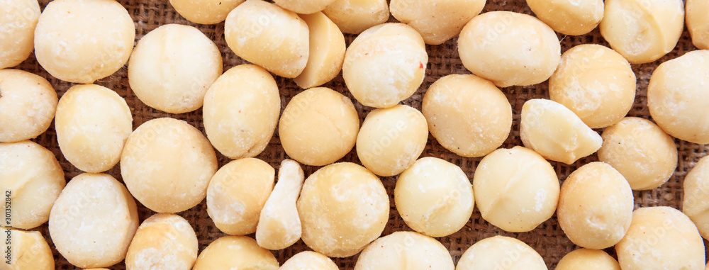 Macadamias nuts full background, closeup view, banner Macadamias nuts full background, closeup view, banner