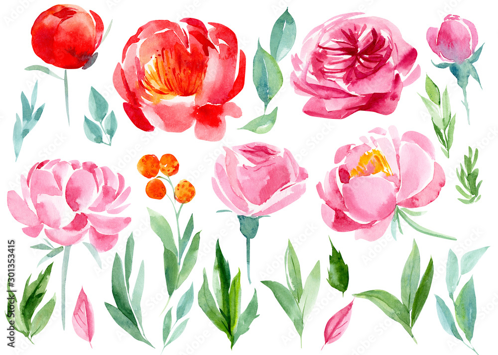 set of abstract flowers and leaves, peonies, roses, eucalyptus on an isolated white background, watercolor, hand-drawing