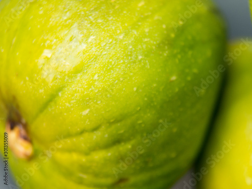 Green fig fruit with water drops close view