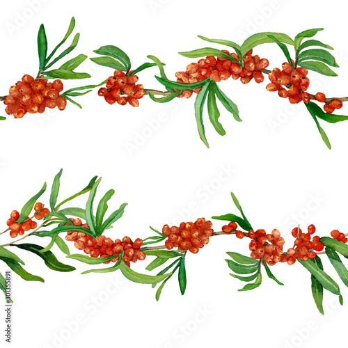 Watercolor seamless borders of sea buckthorn branches with leaves and berries isolated on white background. Raster template. Design for covers, packaging, backgrounds and season offers. 