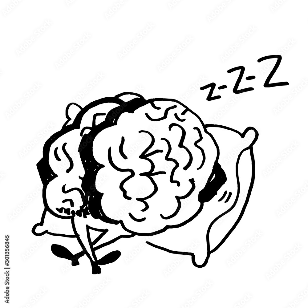 Brain sleeps lying on the pillow. The need to give the brain a rest. Brain sleeps lying on the pillow. The need to give the brain a rest.