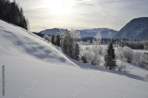 Winter landscape with trees on sunny day in austrian Tyrol © hanaga
