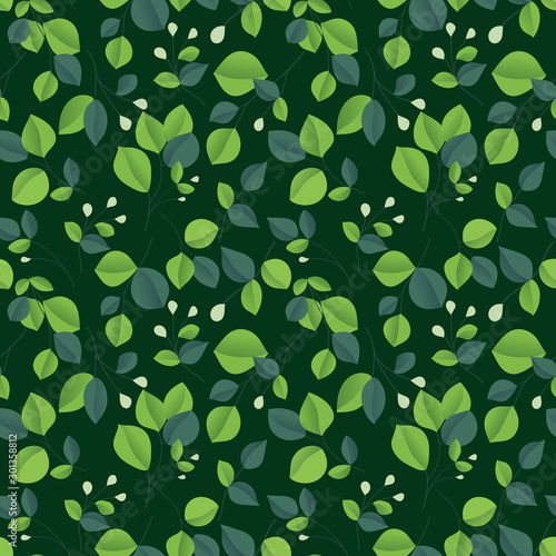 Wallpaper Mural Eucalyptus silver dollar brunch seamless pattern. Beautiful decorative gum tree natural foliage. Green eucalyptus leaves. Hand drawn Vector illustration Torontodigital.ca