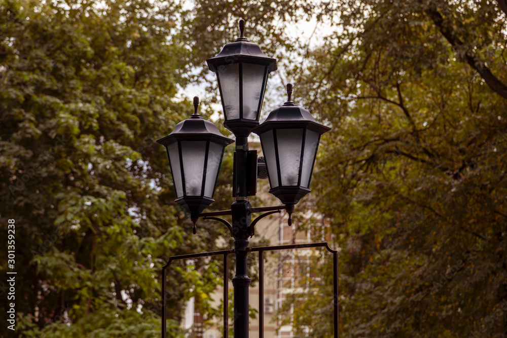 Street lamp on a background of foliage of trees in a city park.