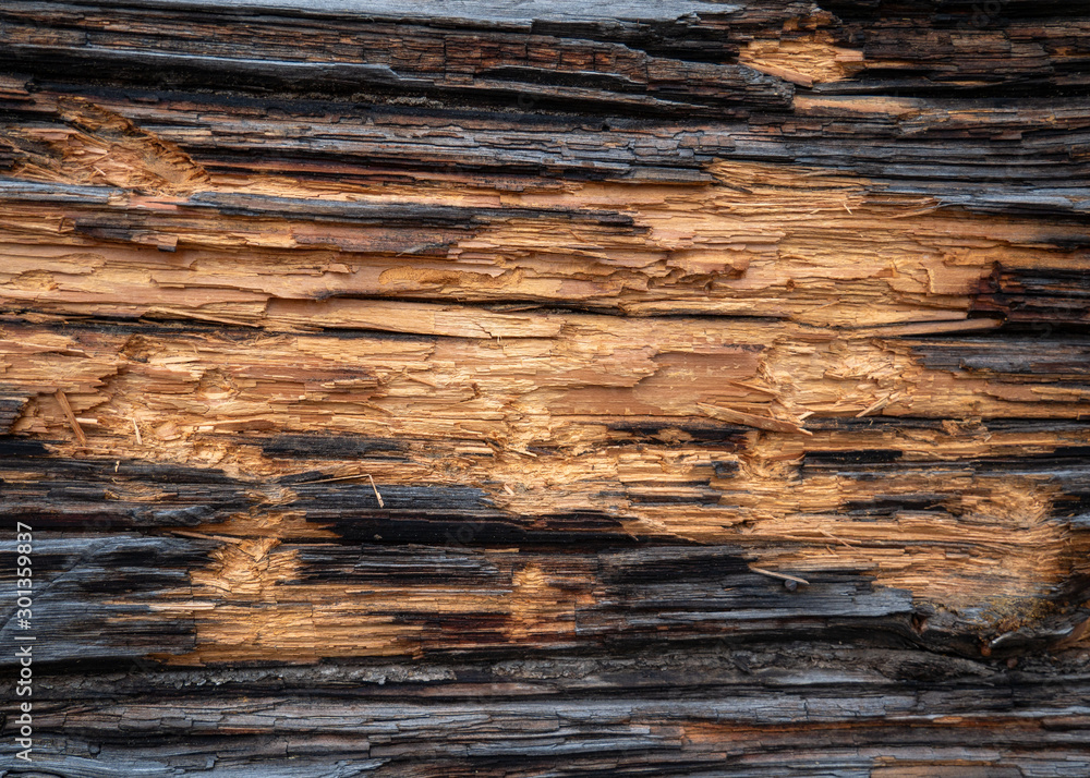Old Wooden board background horizontal stripes Old Wooden board background horizontal stripes