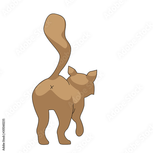 Cat isolated vector