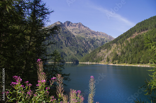 Lago di Pian Palù