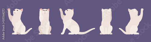 White pedigree cat playing. Active healthy kitten with beautiful fur and light coat, cute funny pet, home playful loving companion. Vector flat style cartoon illustration different views