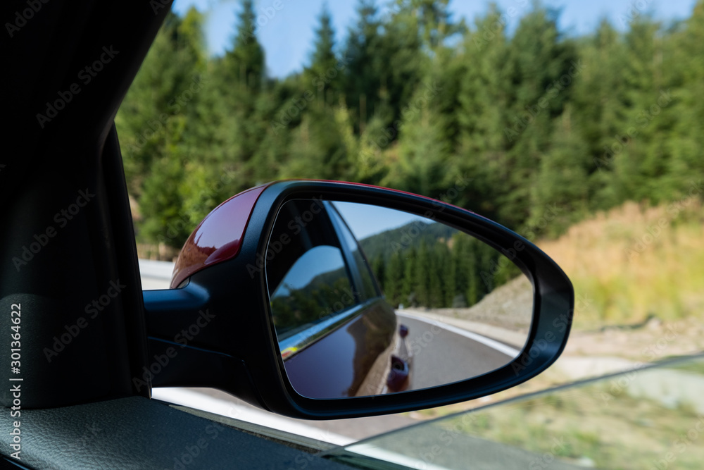 Green forest in rearview mirror of a car