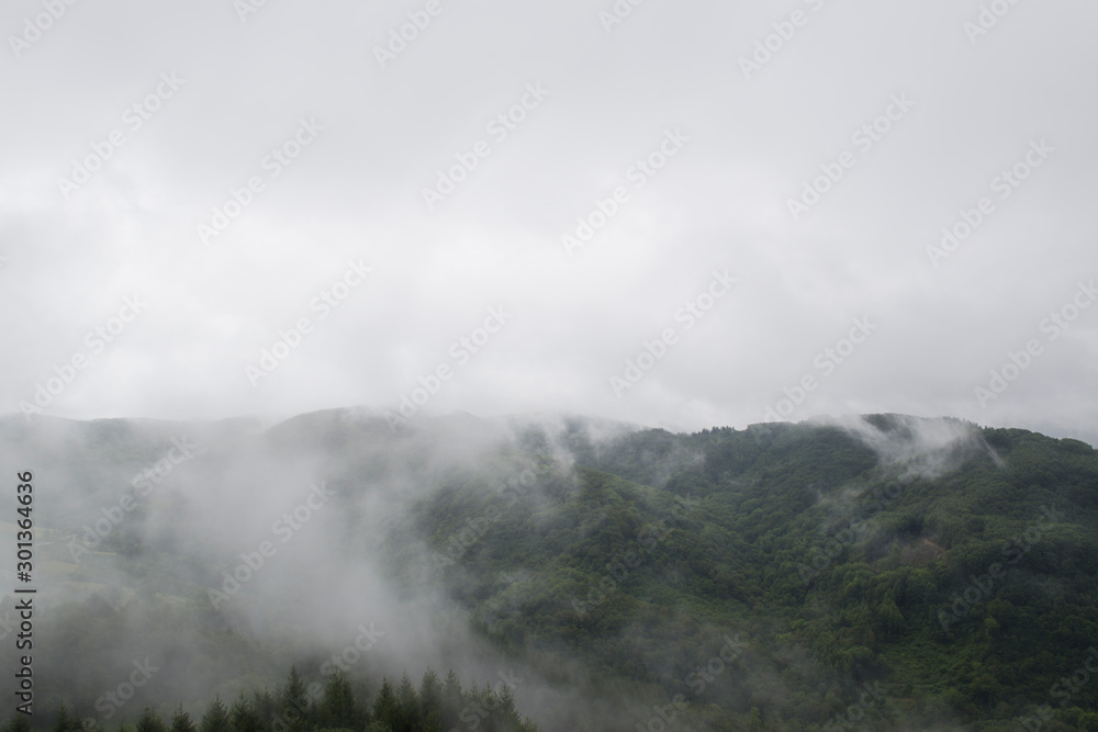 fog in mountains