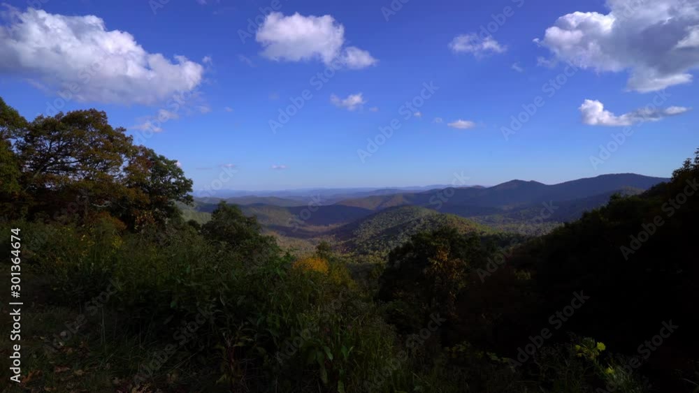 The forest in the North Carolina mountains. The forest in the North Carolina mountains.
