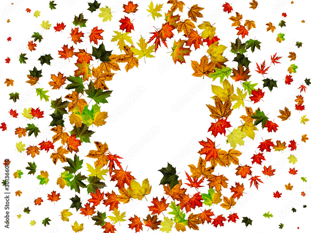 Autumn leaves falling. Season pattern isolated on white background. Thanksgiving concept Autumn leaves falling. Season pattern isolated on white background. Thanksgiving concept