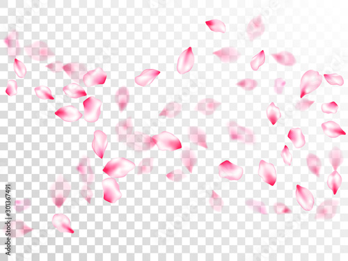Fotótapéta Pink sakura petals confetti flying and falling